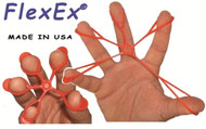 FlexEx