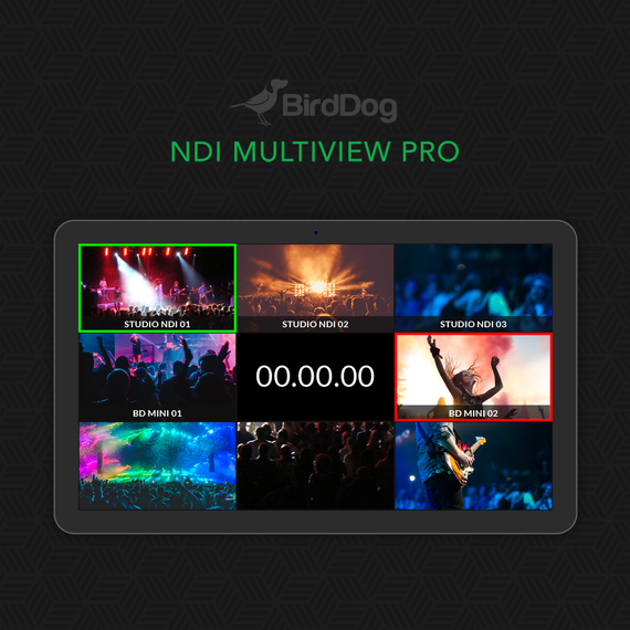 BIRDDOG NDI MULTIVIEW PRO