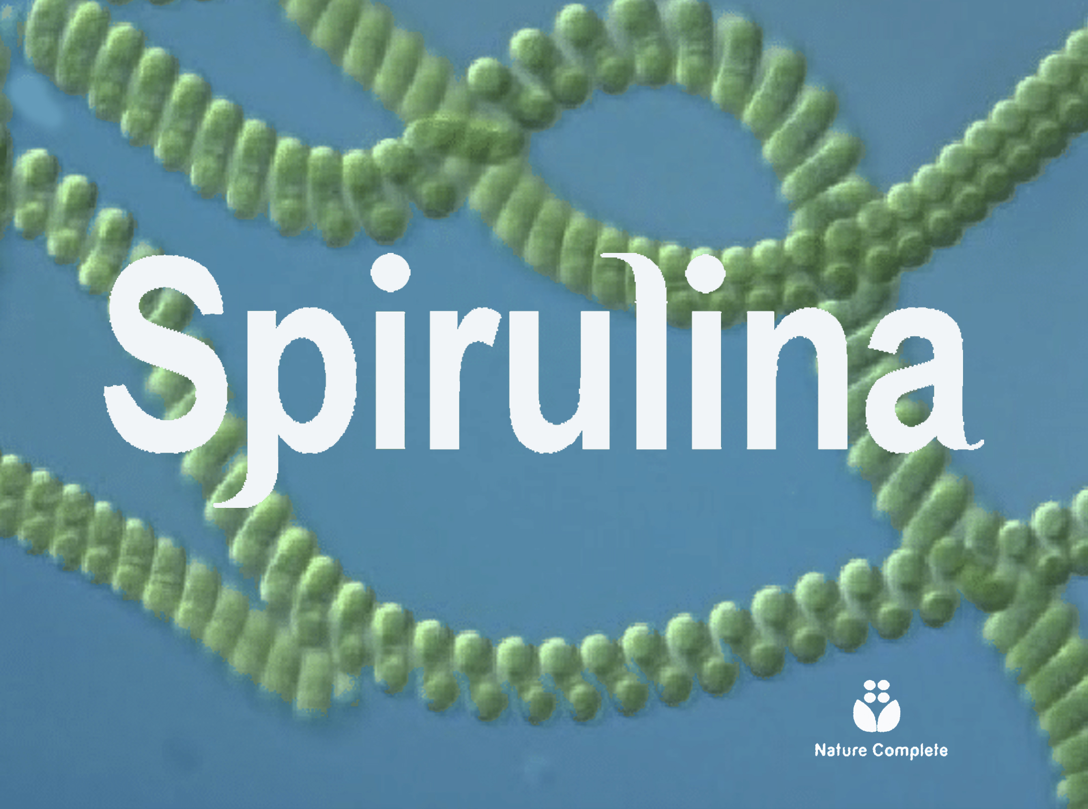 What is Spirulina and What Are Its Key Health Benefits?