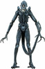 NECA Series 2 Alien Warrior 7" Action Figure Blue version