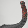 Bandai Movie Monster Series Godzilla 2016 Vinyl Figure