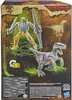 Hasbro Transformers Kingdom Dinobot Voyager Action Figure