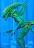 Hiya AVP Thermal Vision Alien Warrior 1/18th scale Action Figure