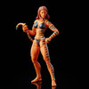 Hasbro Spider-Man Legends Tigra 6" Action Figure