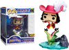 Funko Pop! Disney: Peter Pan Hook and Tick-Tock #456 exclusive