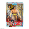 Conan Comics ULTIMATES! Wave 2 Conan The Barbarian & Kull The Conqueror Set
