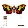 Toho ULTIMATES! Wave 5 Mothra (1992)