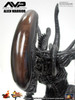 Hot Toys ALIENS vs PREDATOR ALIEN WARRIOR MMS17 1/6th scale Collectible Figure