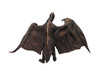X-Plus Rodan 1975 version collectors figure (NO PACKAGE)