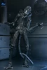 NECA Aliens - 7" Scale Action Figure - 40th Anniversary Ultimate Warrior Xenomorph (Black)