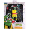 NECA TMNT Stump Arena Presents Donatello Wrestling guise action figure