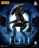 Alien FigLite Xenomorph 1/12 Scale Action Figure