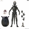 ALIEN EARTH - 7 INCH SCALE ACTION FIGURE - ULTIMATE WENDY'S XENOMORPH