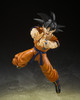 Bandai S.H. Figuarts Dragon Ball The Lowest Born Saiyan Son Goku Action Figure (Open Box)