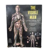 Renwal (1959) The Visible Man A Science Assembly Project