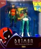 McFarlane Batman the Animated Series Robin action figure (Open Package)