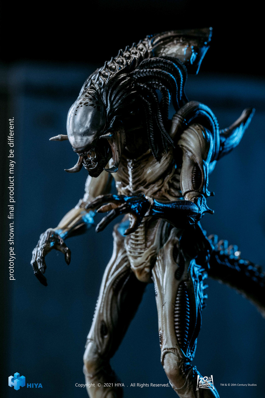 Hot Toys Aliens vs. Predator AVP 2 Requiem - Predalien (Battle Damaged  Version)