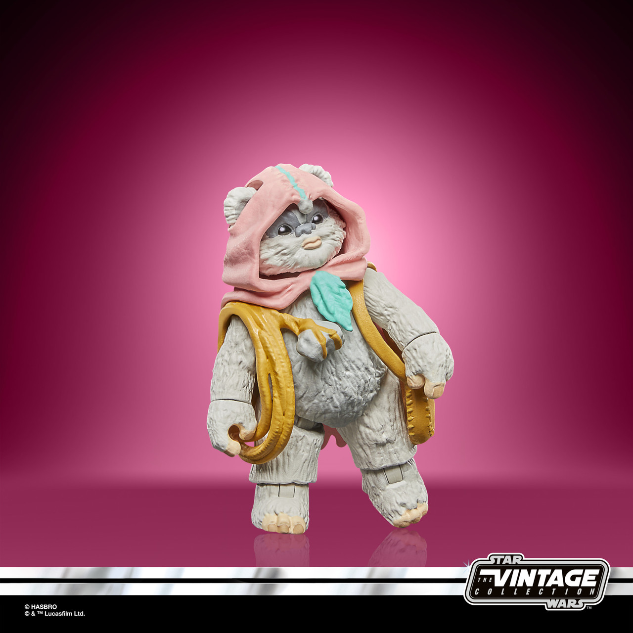 Hasbro Star Wars The Vintage Collection Wicket and Princess