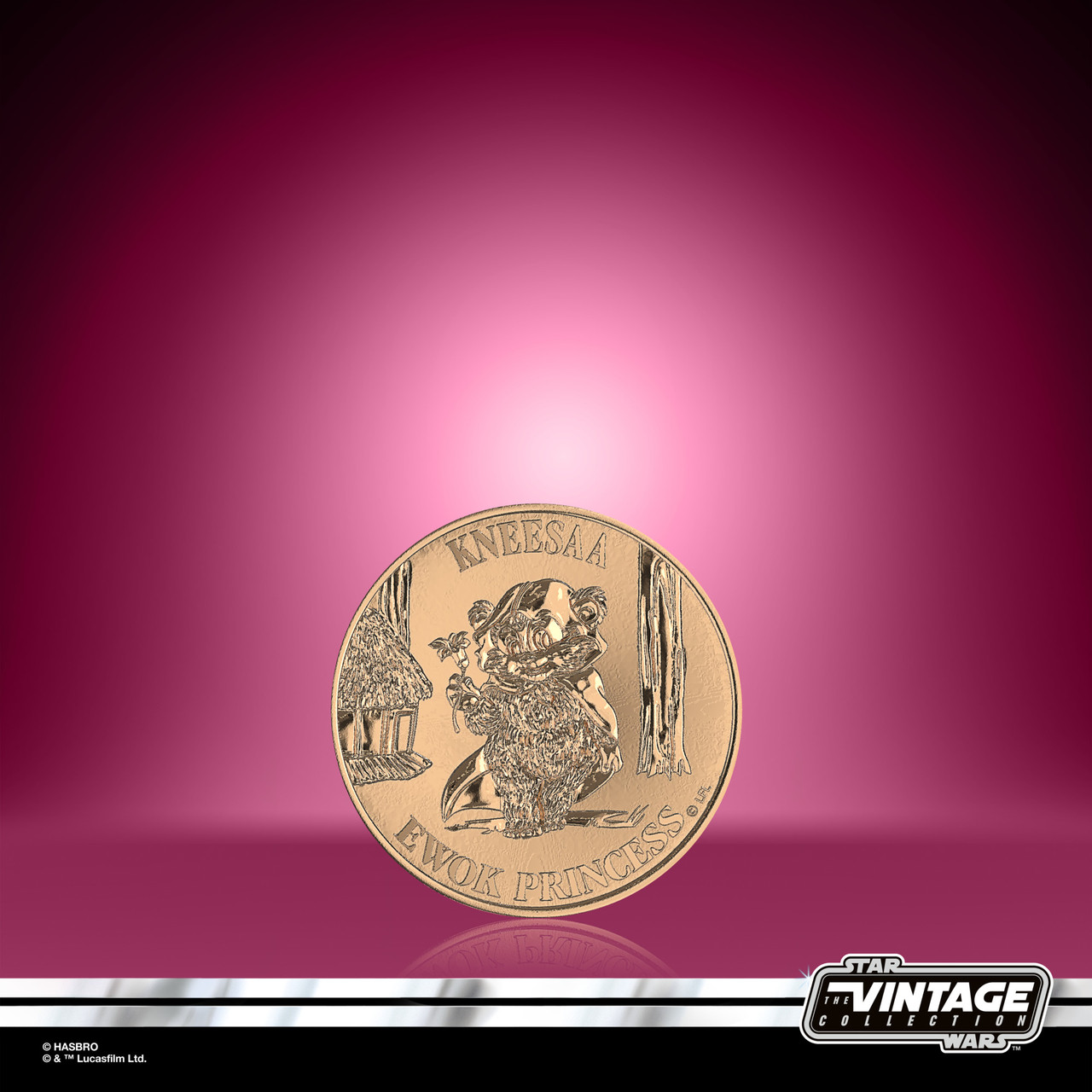 Hasbro Star Wars The Vintage Collection Wicket and Princess