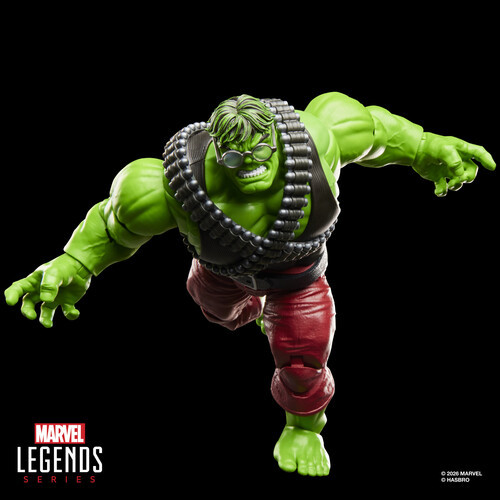 Hulk フィギュア Hasbro Marvel Legends Professor Hulk Action Figure