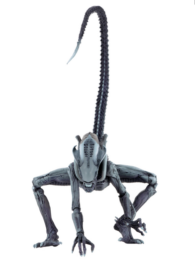 NECA Alien​ vs Predator​ (Arcade Appearance) – 7″ Scale Action Figures – Arachnoid Alien