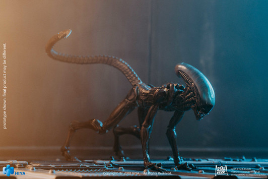 Hiya Dog Alien Look Up 1/18th scale Action Figure