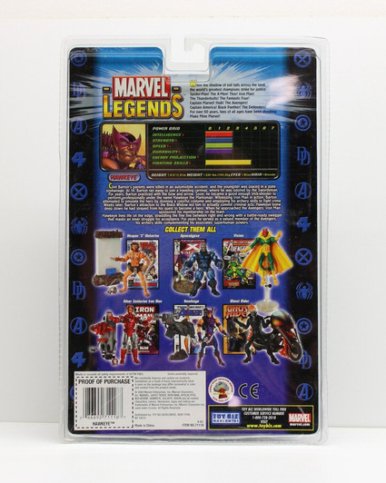 ToyBiz (2004) Marvel Legends Series VI Phoenix Action Figure