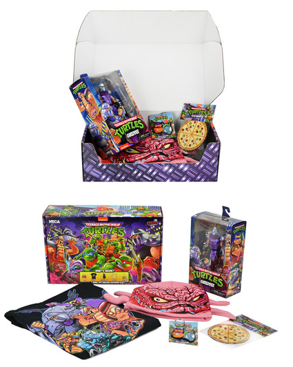 NECA Teenage Mutant Ninja Turtles (Cartoon) – Crate – Stern Pinball Appearance Crate