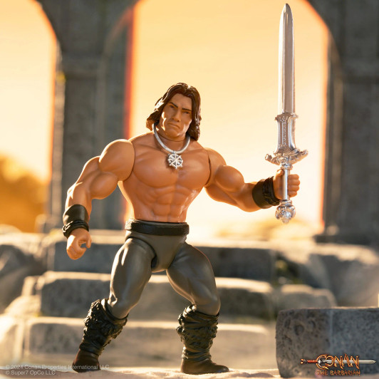 Conan the Barbarian Vintage Figures Wave 2 Conan