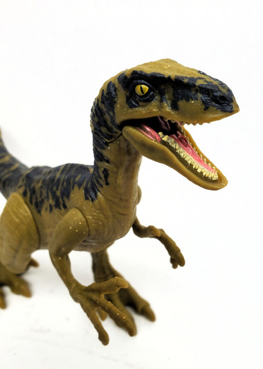 Mattel Jurassic World Dino Rivals Velociraptor Delta (no package)