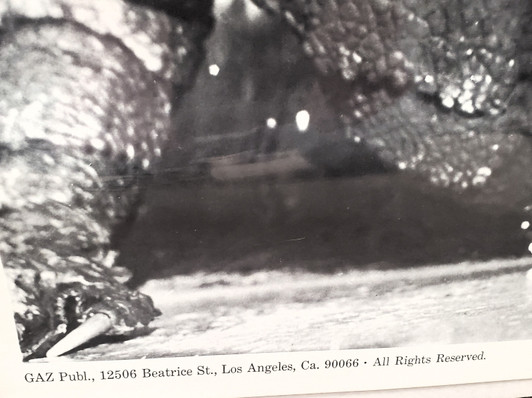 Creature from the Black Lagoon vintage poster (1974) "Alright who peed in the pool..."