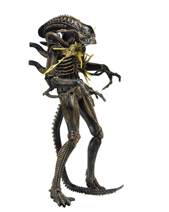 NECA Aliens - 7" Scale Action Figure  Series 12 Xenomorph Warrior (Brown Color) Battle Damaged