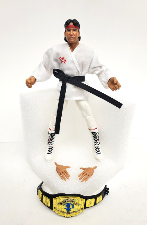 WWE リッキー・ザ・ドラゴン・スティムボート　マテル社　レジェンド Mattel (2020) Ricky 