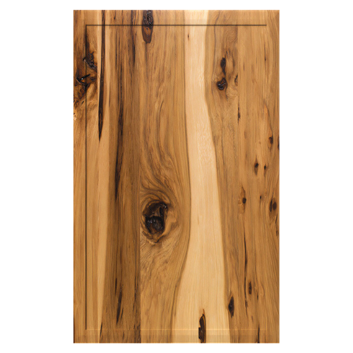 Cabinet Door 1
