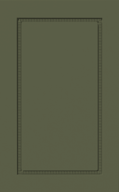 Cabinet Door 2
