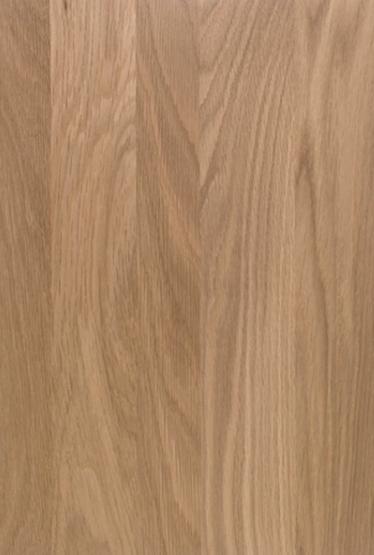 Cabinet Door 1