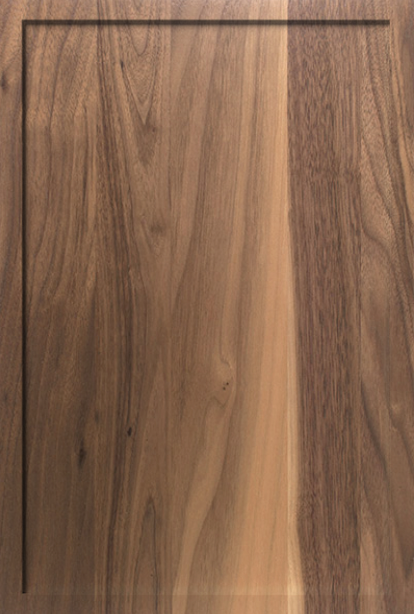 Cabinet Door 1