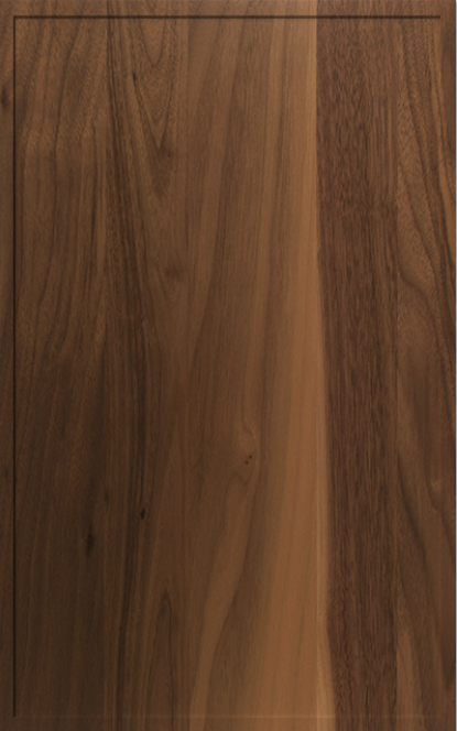 Cabinet Door 1