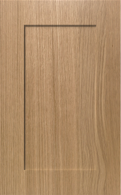 Cabinet Door 1