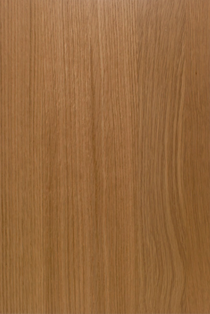 Cabinet Door 1
