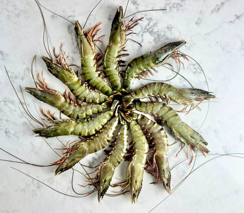 Tiger Prawns