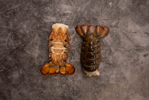 Lobster Tails Lobster Tails