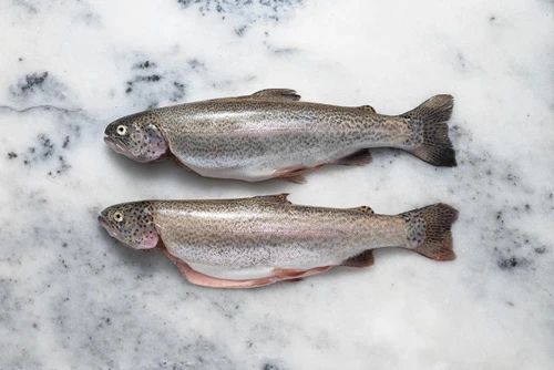 Whole Trout
