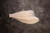 Halibut Fillets Halibut Fillets