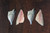 Gilt Head Bream Fillets
