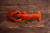 Whole Cooked Canadian Lobster Whole Cooked Canadian Lobster