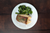 Frozen Toothfish