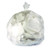30x37 Clear 20-30 Gal Garbage Can Liner - High Density 13 mic (20x25 ct)