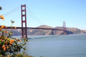 San Francisco San Francisco