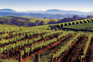 Hunter Valley Hunter Valley